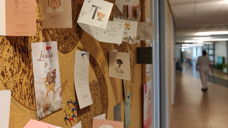 Gang Afdeling Moeder Met Geboortebord Gang Afdeling Moeder Met Geboortebord